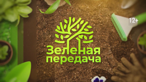 В «Зеленой передаче» расскажут, как черенковать колеусы