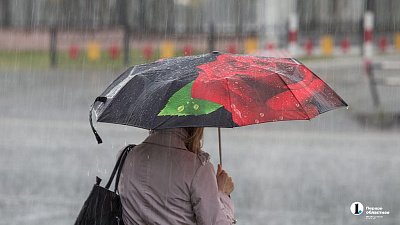 Сильные дожди пройдут в Челябинской области 24 апреля