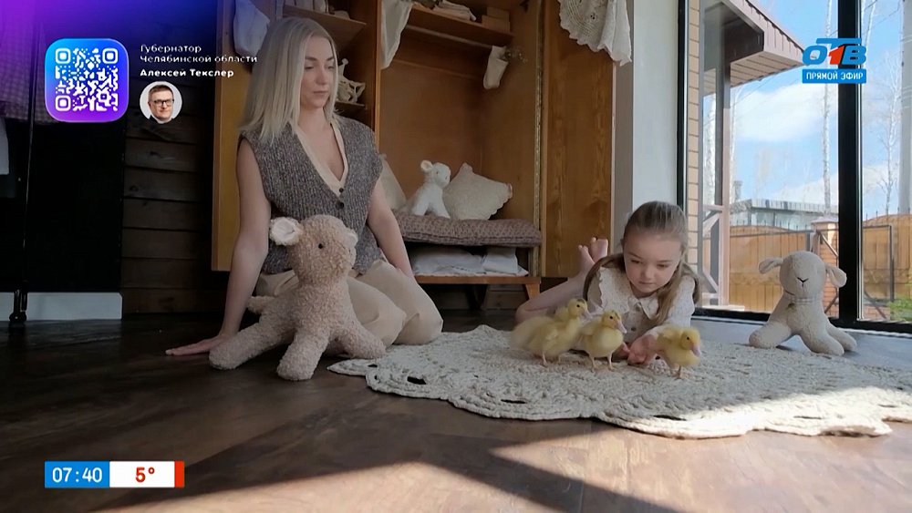 Фото с деревенским колоритом в сюжете «Фотосессия с гусятами»