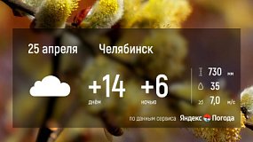 Погода в Челябинской области 25 апреля: дожди и порывистый ветер