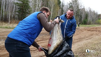 В Челябинской области убрали 90% территорий и вывезли более 12 тысяч тонн мусора