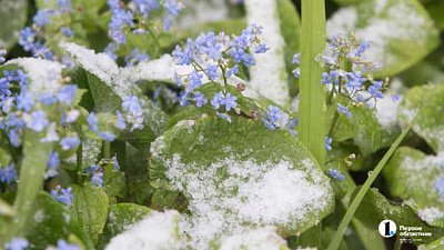 Мокрый снег пройдет на западе Челябинской области в последние выходные апреля