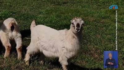 В Челябинской области сохраняется высокая вероятность пожаров