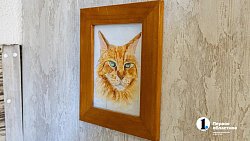 Челябинское антикафе перед закрытием пытается пристроить 10 кошек