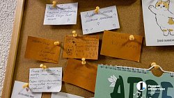 Челябинское антикафе перед закрытием пытается пристроить 10 кошек