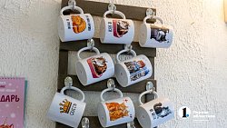 Челябинское антикафе перед закрытием пытается пристроить 10 кошек