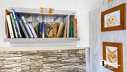 Челябинское антикафе перед закрытием пытается пристроить 10 кошек