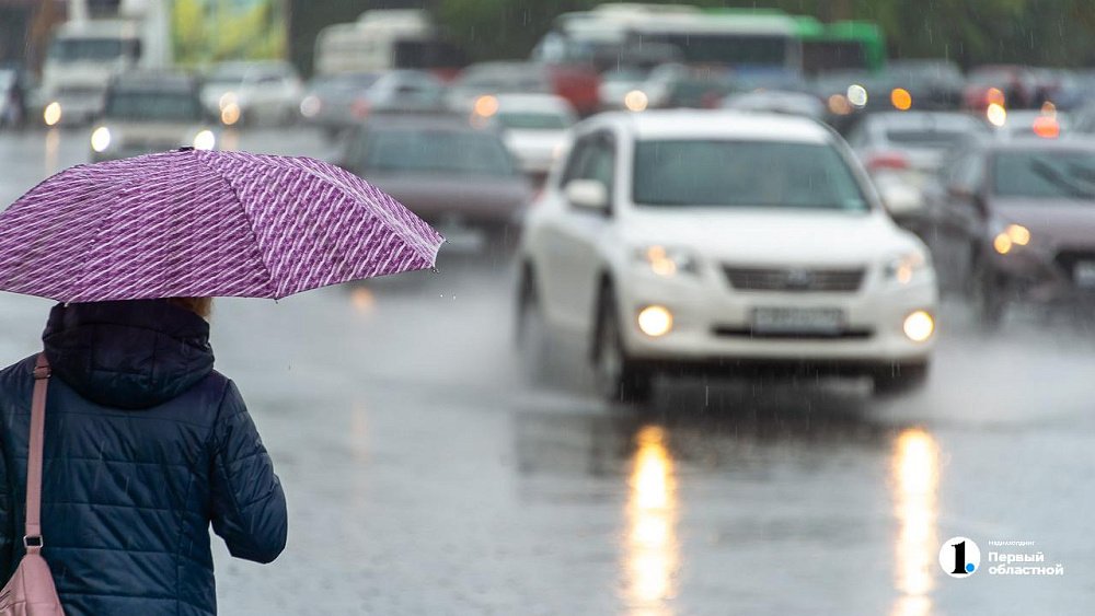Синоптики рассказали, дойдут ли до Челябинска московские снегопады