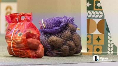 Челябинцам рекомендуют выращивать отечественные сорта картофеля
