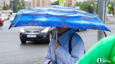 Синоптики спрогнозировали ухудшение погоды в Челябинской области 28 апреля