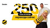 «Не упусти выгоду»: Билайн предлагает челябинцам услуги связи за 250 рублей в месяц