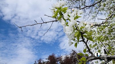 Антициклон будет влиять на погоду в Челябинской области 29 апреля
