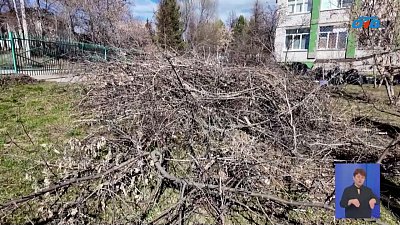 В Кыштыме из мусора делают удобрение