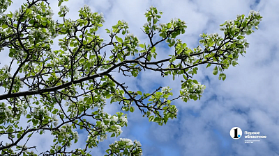 На майские праздники в Челябинской области пообещали дожди и скачки температуры