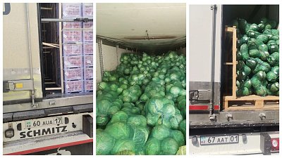 В Челябинскую область не пропустили почти 100 тонн овощей и фруктов