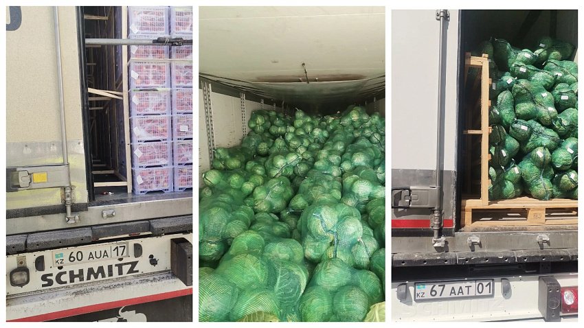 В Челябинскую область не пропустили почти 100 тонн овощей и фруктов