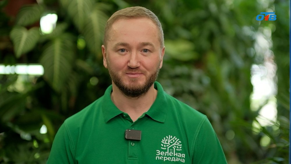 Весна — лучшее время для прививок плодовых деревьев