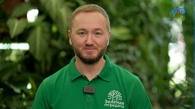 Весна — лучшее время для прививок плодовых деревьев