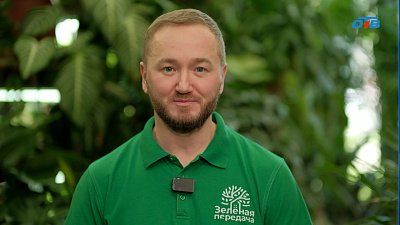 Весна — лучшее время для прививок плодовых деревьев