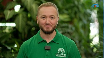 Весна — лучшее время для прививок плодовых деревьев