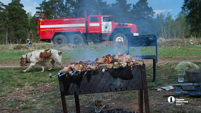 Четыре округа Челябинской области ввели запрет на майские шашлыки на природе