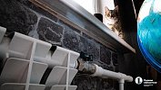В Челябинске с 4 мая отключат отопление