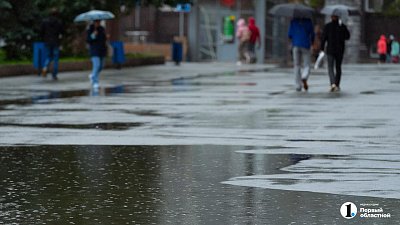 Больше половины месячной нормы осадков выпало 1 мая в Челябинской области