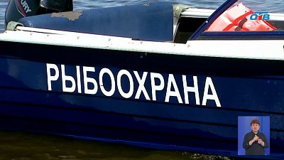На Южном Урале рыбоохрана вышла на борьбу с браконьерами