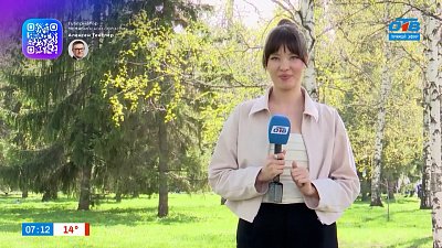Разные мнения челябинцев в опросе «Диета перед летом»