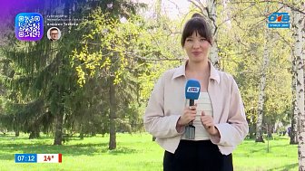 Разные мнения челябинцев в опросе «Диета перед летом»