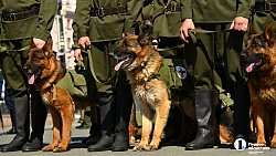 В Челябинске 7 мая завершилась генеральная репетиция ко Дню Победы