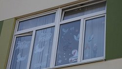 В Челябинской области к 9 Мая украсили более 8 с половиной тысяч окон