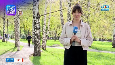 Мнения челябинцев в опросе «Как реагировать, если не хочется отвечать на вопрос?»