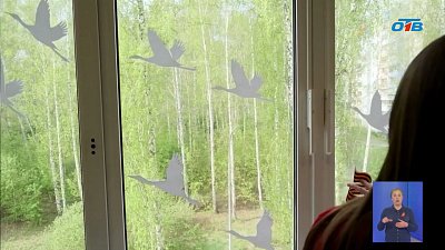 На Южном Урале проходит акция «Окна Победы»