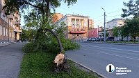 В центре Челябинска ветер сорвал несколько деревьев