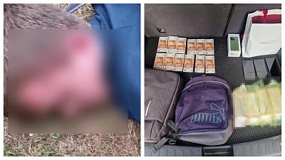 В Челябинске отправили в колонию вымогавшего у женщины 30 млн кемеровчанина