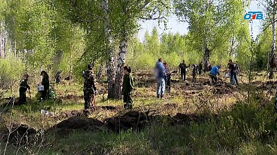 В Челябинске прошла Всероссийская акция «Сад Памяти»