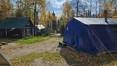 Защита от комаров может спасти от опасных болезней