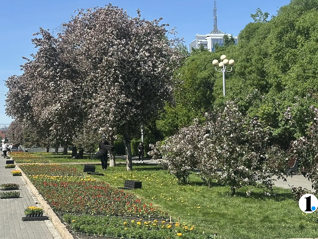 Рассаду цветов в открытый грунт начали высаживать в Челябинске
