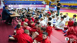 В Челябинске провели Фестиваль борьбы по трем единоборствам