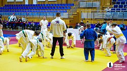 В Челябинске провели Фестиваль борьбы по трем единоборствам