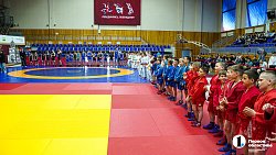 В Челябинске провели Фестиваль борьбы по трем единоборствам
