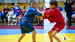 В Челябинске провели Фестиваль борьбы по трем единоборствам