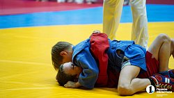 В Челябинске провели Фестиваль борьбы по трем единоборствам