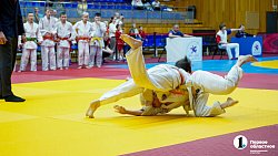 В Челябинске провели Фестиваль борьбы по трем единоборствам