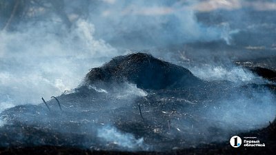 Режим высокой пожарной опасности объявили в Челябинской области