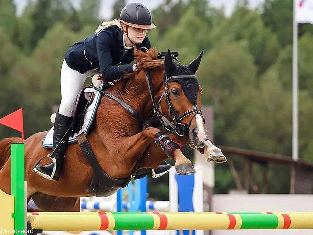 Челябинская спортсменка завоевала путевку на чемпионат мира по конному спорту
