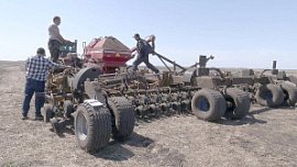 Аграриям Челябинской области в посевной кампании помогают местные сеялки