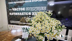 Экофорум: воздух в Челябинске стал чище на 50% за девять лет