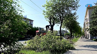 В Магнитогорске продолжают снос аварийных деревьев